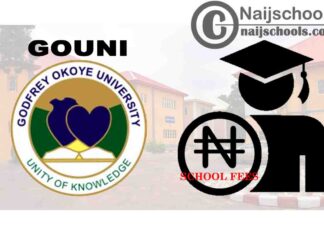 Godfrey Okoye University (GOUNI) School Fees Schedule & Payment Procedure for 2020/2021 Academic Session | CHECK NOW