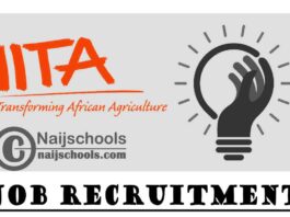 Institute of Tropical Agriculture (IITA) Job Recruitment | APPLY NOW