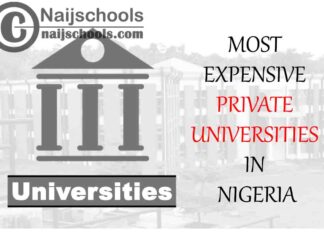 Top 13 Most Expensive Private Universities in Nigeria | No. 3's the Best