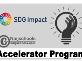 Turkish Ministry of Foreign Affairs/UNDP SDG Impact Accelerator (SDGia) Program 2021 | APPLY NOW