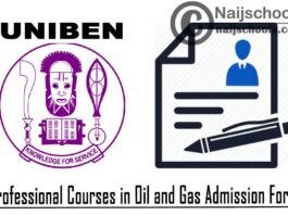 University of Benin (UNIBEN) Professional Courses in Oil and Gas Admission Form for 2020/2021 Academic Session | APPLY NOW