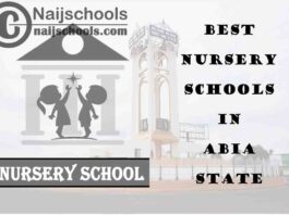 9 of the Best Nursery Schools in Abia State Nigeria | No. 7's the Best