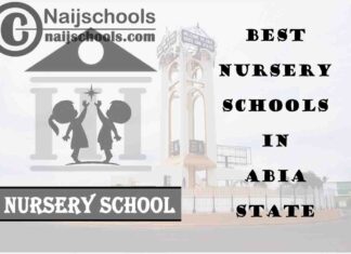9 of the Best Nursery Schools in Abia State Nigeria | No. 7's the Best