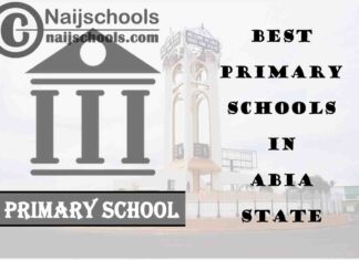 12 of the Best Primary Schools to Attend in Abia State Nigeria | No. 5's the Best
