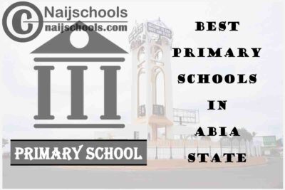 12 of the Best Primary Schools to Attend in Abia State Nigeria | No. 5's the Best