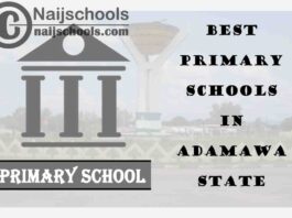 11 of the Best Primary Schools to Attend in Adamawa State | No. 7's the Best
