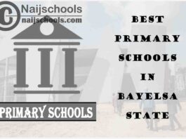 11 of the Best Primary Schools to Attend in Bayelsa State | No. 3’s the Best