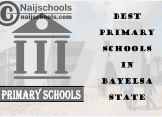 11 of the Best Primary Schools to Attend in Bayelsa State | No. 3’s the Best