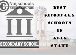 13 of the Best Secondary Schools to Attend in Abia State Nigeria | No. 11's the Best