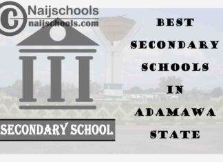 13 of the Best Secondary Schools to Attend in Adamawa State Nigeria | No. 10's the Best