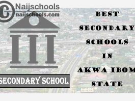 13 of the Best Secondary Schools to Attend in Akwa Ibom State Nigeria | No. 8's Top-Notch