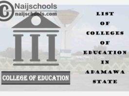 Full List of Accredited Federal & State Colleges of Education in Adamawa State Nigeria