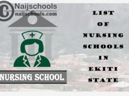 Complete List of Accredited Nursing Schools in Ekiti State Nigeria
