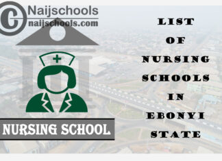 Complete List of Accredited Nursing Schools in Ebonyi State Nigeria