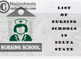 Complete List of Accredited Nursing Schools in Delta State Nigeria