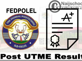 Federal Polytechnic Ile-Oluji (FEDPOLEL) Post UTME Result for 2020/2021 Academic Session | CHECK NOW