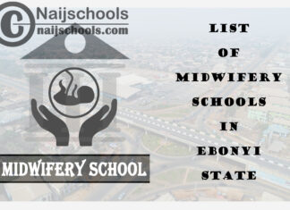 Full List of Accredited Midwifery Schools in Ebonyi State Nigeria
