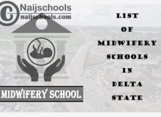 Full List of Accredited Midwifery Schools in Delta State Nigeria