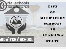 Full List of Accredited Midwifery Schools in Adamawa State Nigeria