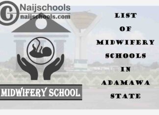 Full List of Accredited Midwifery Schools in Adamawa State Nigeria