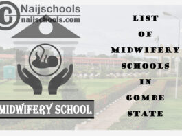 Full List of Accredited Midwifery Schools in Gombe State Nigeria