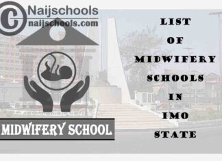 Full List of Accredited Midwifery Schools in Imo State Nigeria