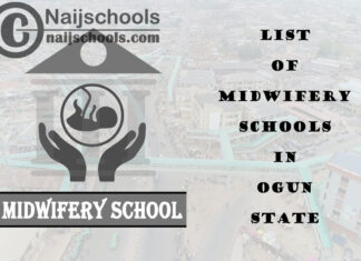 Full List of Accredited Midwifery Schools in Ogun State Nigeria