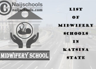 Full List of Accredited Midwifery Schools in Katsina State Nigeria