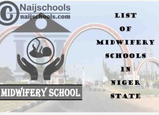 Full List of Accredited Midwifery Schools in Niger State Nigeria