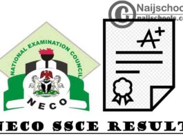 National Examinations Council (NECO) June/July 2021 SSCE Result is Out | CHECK NOW