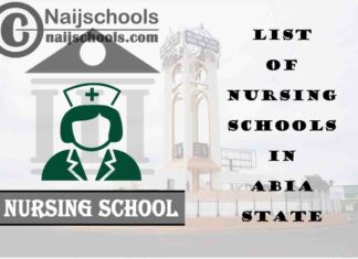 Complete List of Accredited Nursing Schools in Abia State Nigeria