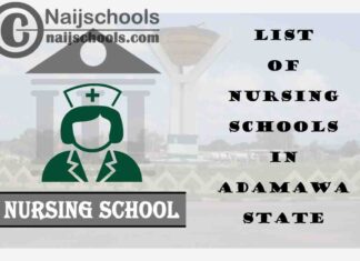 Complete List of Accredited Nursing Schools in Adamawa State Nigeria