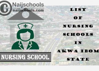 Complete List of Accredited Nursing Schools in Akwa Ibom State Nigeria