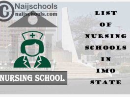 Complete List of Accredited Nursing Schools in Imo State Nigeria