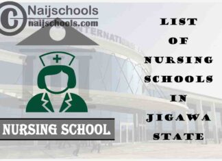 Complete List of Accredited Nursing Schools in Jigawa State Nigeria