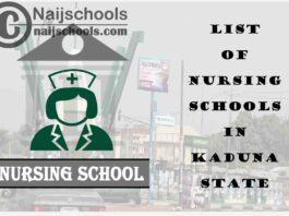 Complete List of Accredited Nursing Schools in Kaduna State Nigeria