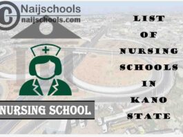 Complete List of Accredited Nursing Schools in Kano State Nigeria