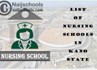 Complete List of Accredited Nursing Schools in Kano State Nigeria