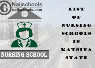 Complete List of Accredited Nursing Schools in Katsina State Nigeria