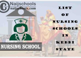 Complete List of Accredited Nursing Schools in Kebbi State Nigeria