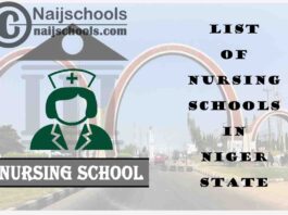 Complete List of Accredited Nursing Schools in Niger State Nigeria