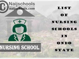 Complete List of Accredited Nursing Schools in Ondo State Nigeria