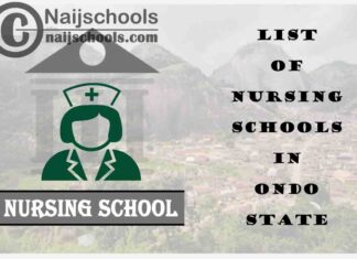 Complete List of Accredited Nursing Schools in Ondo State Nigeria