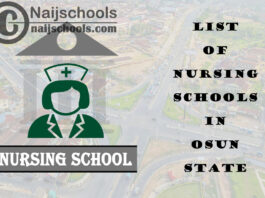 Complete List of Accredited Nursing Schools in Osun State Nigeria