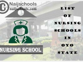 Complete List of Accredited Nursing Schools in Oyo State Nigeria