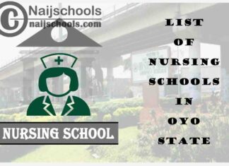 Complete List of Accredited Nursing Schools in Oyo State Nigeria