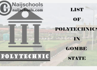 Full List of Accredited Polytechnics in Gombe State Nigeria