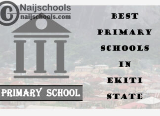 11 of the Best Primary Schools to Attend in Delta State Nigeria | No. 7’s Top-Notch