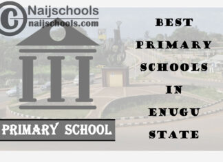 11 of the Best Primary Schools to Attend in Enugu State Nigeria | No. 8’s Top-Notch