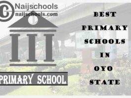 11 of the Best Primary Schools to Attend in Oyo State Nigeria | No. 7’s Top-Notch
